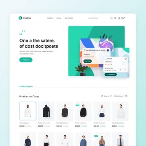 Custom Storefront UI/UX Dev